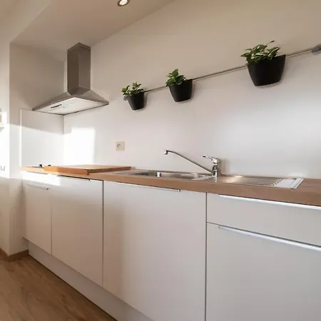 Vakantiestudio De Zeeparel Met Zwembad *