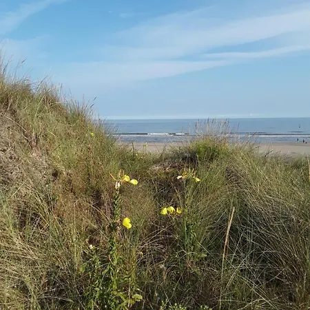 Appartement Vakantiestudio De Zeeparel *