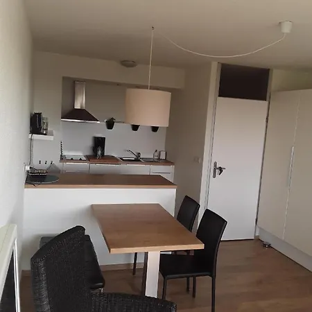 Vakantiestudio De Zeeparel Met Zwembad Апартаменты *